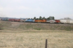 BNSF 8294